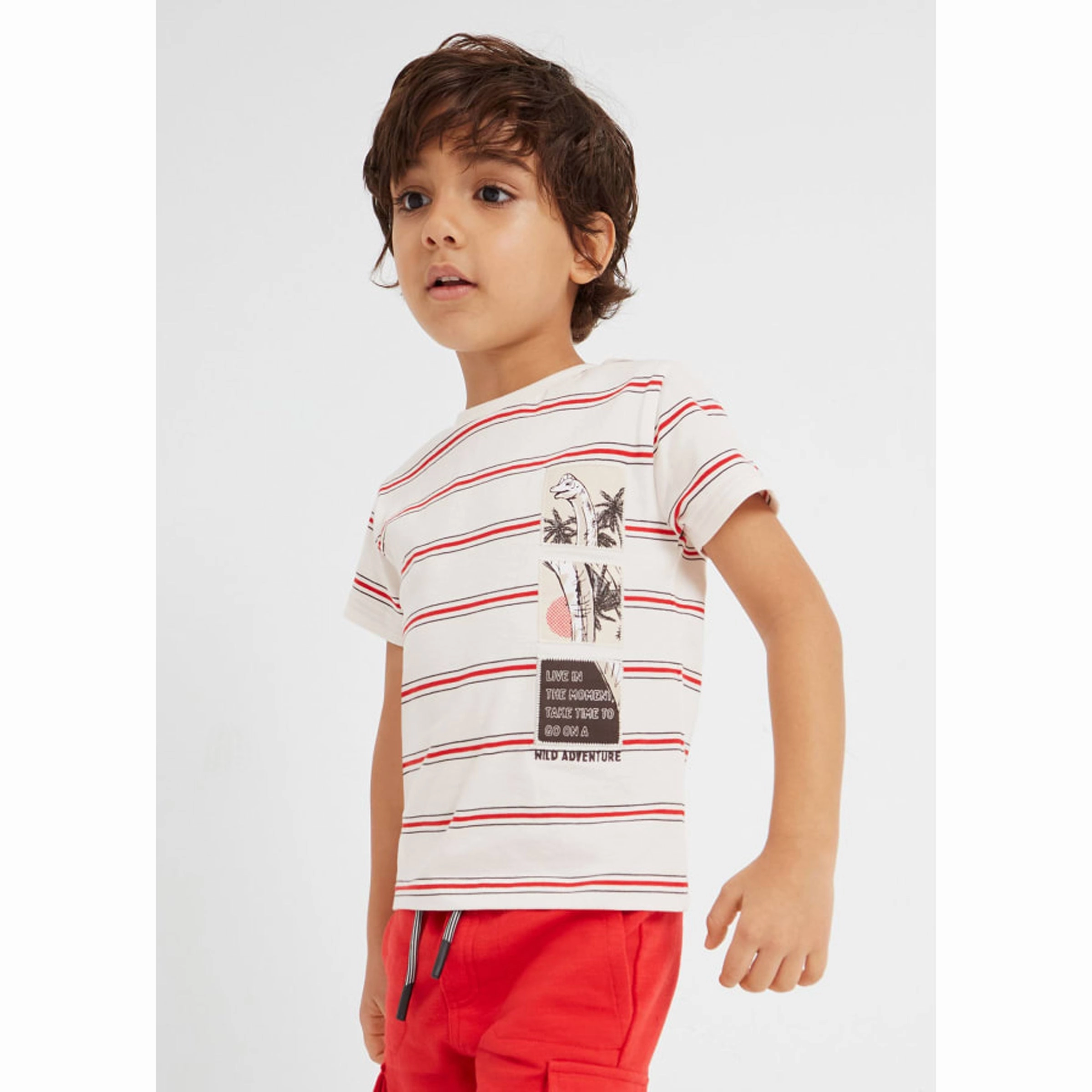 Red Striped Wild Adventure Graphic T-Shirt Boys Henley T Shirt
