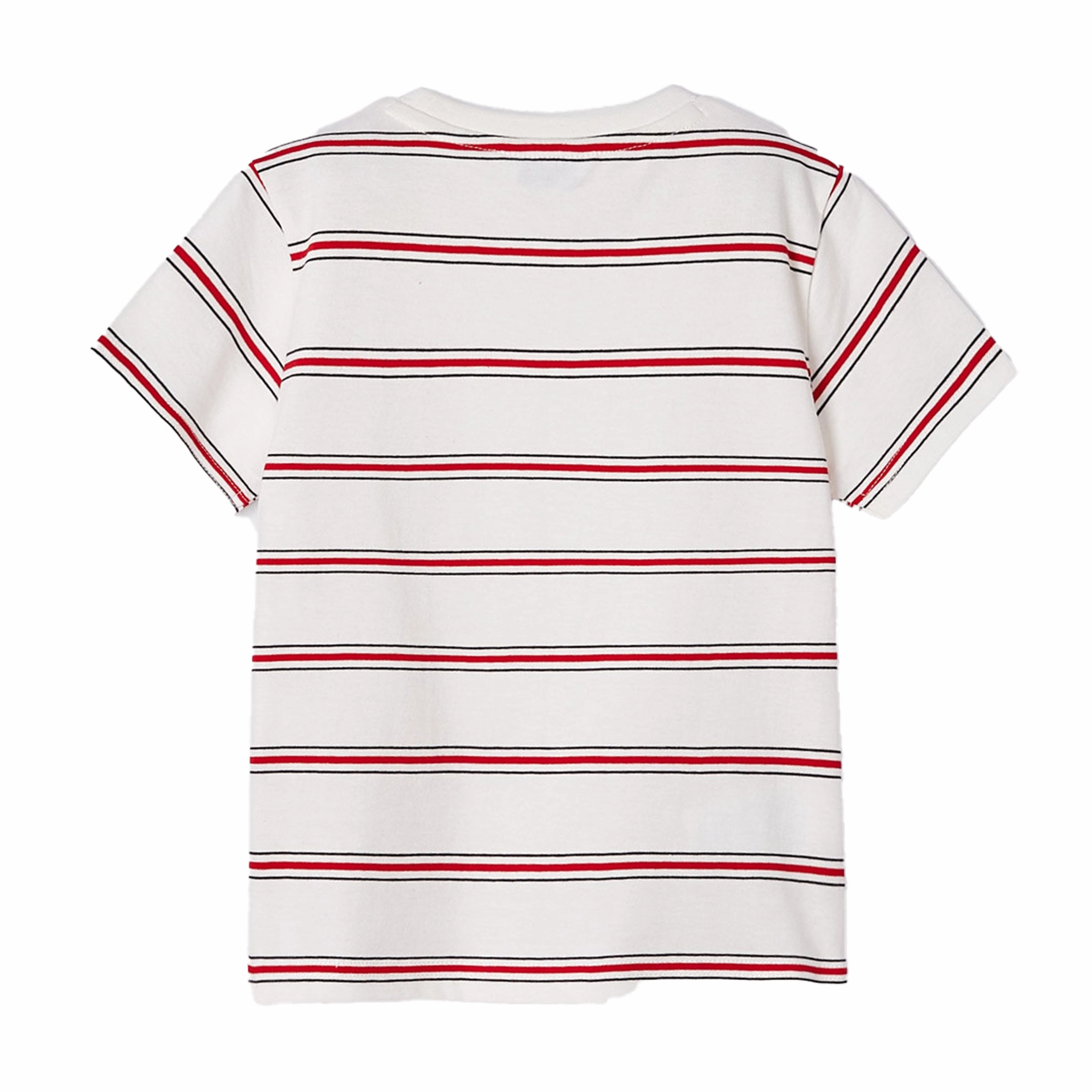 Red Striped Wild Adventure Graphic T-Shirt Boys Henley T Shirt