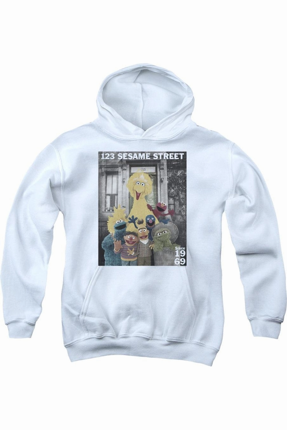 Sesame Street Best Address Youth Pull Over Hoodie graphic tees for boys, polo shirts boys