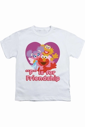 Sesame Street Friendship Short Sleeve Youth Tee / T-Shirt graphic tees for boys, polo shirts boys