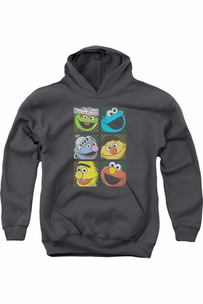 Sesame Street Group Squares Youth Pull Over Hoodie graphic tees for boys, polo shirts boys
