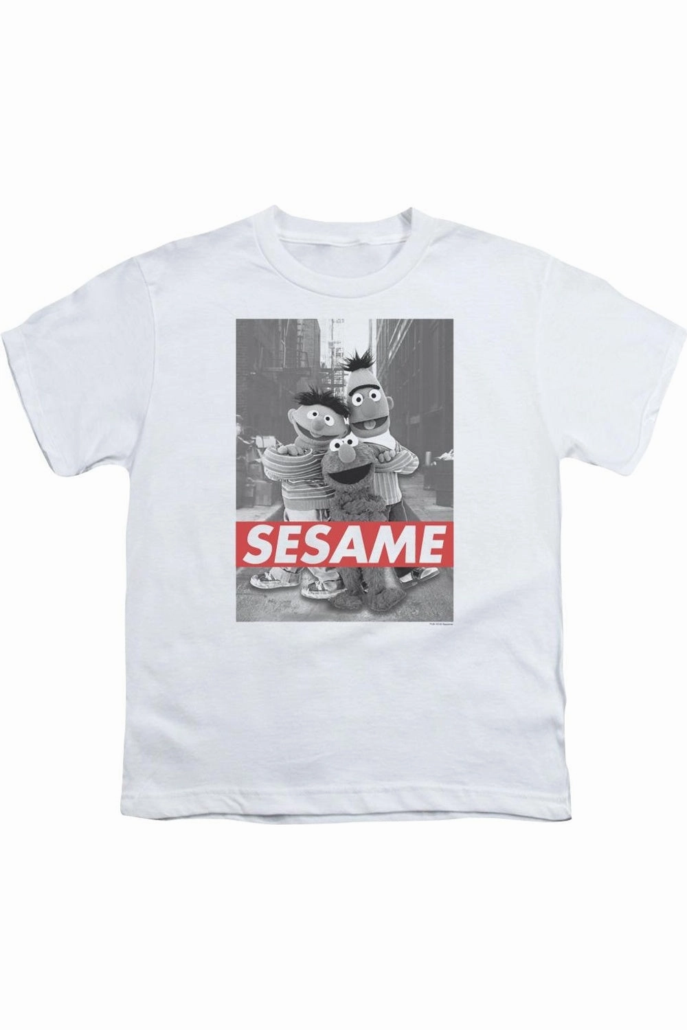 Sesame Street Sesame Short Sleeve Youth Tee / T-Shirt graphic tees for boys, polo shirts boys