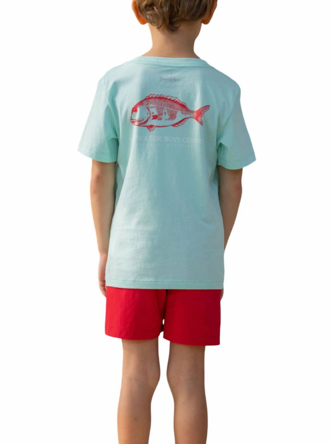 Snapper Pocket Tee In Mint Boys Henley T Shirt