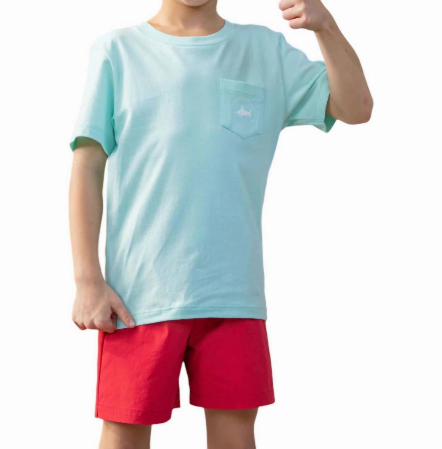 Snapper Pocket Tee In Mint Boys Henley T Shirt