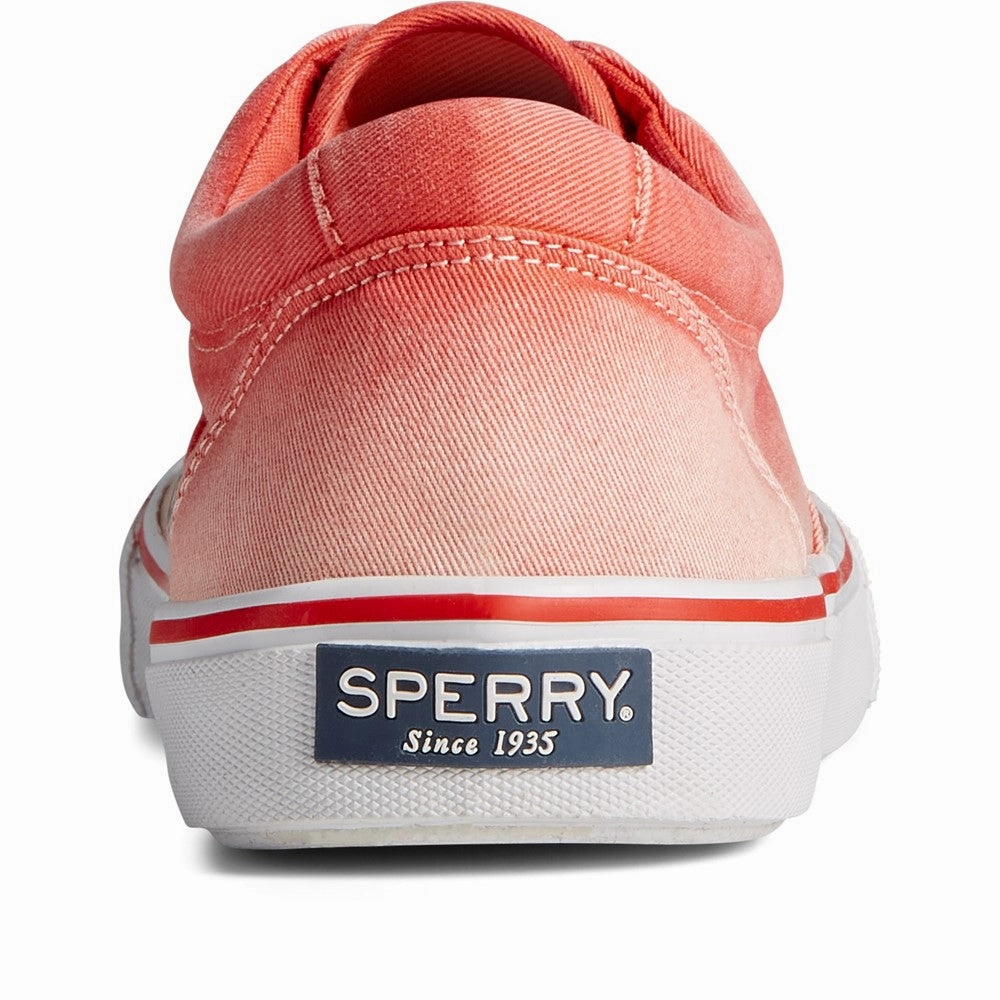 Sperry Striper II CVO Ombre Lace Shoes Men's Sports Casual Shoes