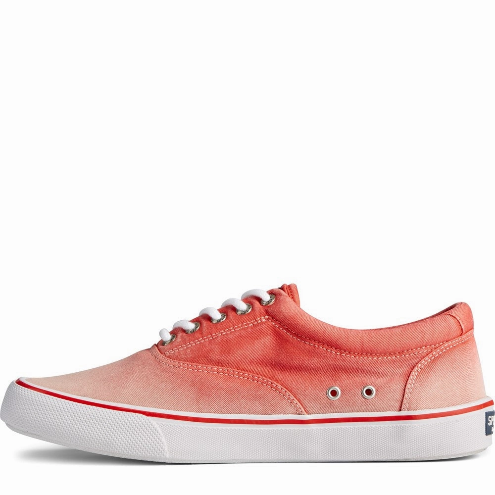 Sperry Striper II CVO Ombre Lace Shoes Men's Sports Casual Shoes