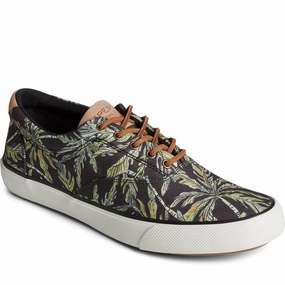 Sperry Striper II CVO SC Rejuvenate Shoes Basketball Shoes, Running Shoes