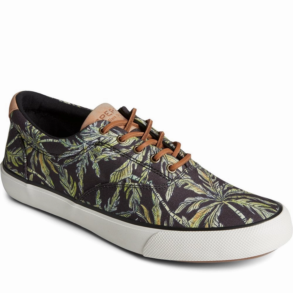 Sperry Striper II CVO SC Rejuvenate Shoes Basketball Shoes, Running Shoes