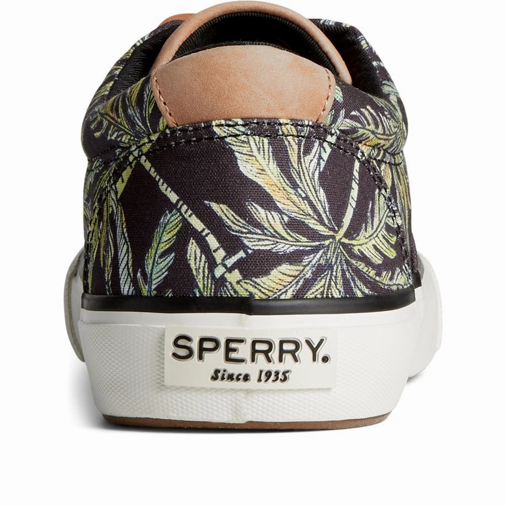Sperry Striper II CVO SC Rejuvenate Shoes Men's Sports Casual Shoes