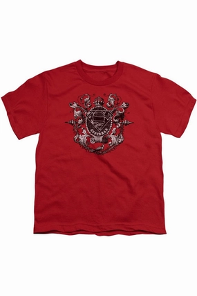 Superman All Hail Superman Short Sleeve Youth Tee / T-Shirt graphic tees for boys, polo shirts boys