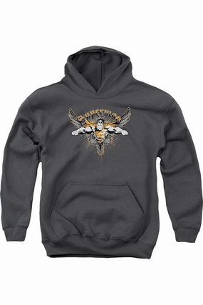 Superman Take Wing Youth Pull Over Hoodie / Hooded Sweatshirt graphic tees for boys, polo shirts boys